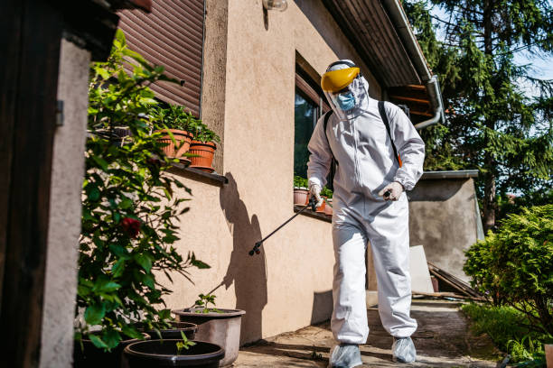 Best Pest Control for Homes  in Cedar Grove, FL